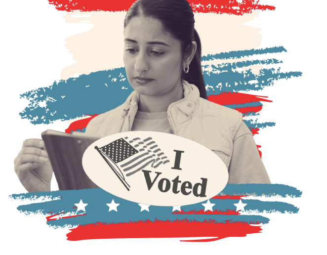 Voting Toolkit: How Can I Protect the Elections?